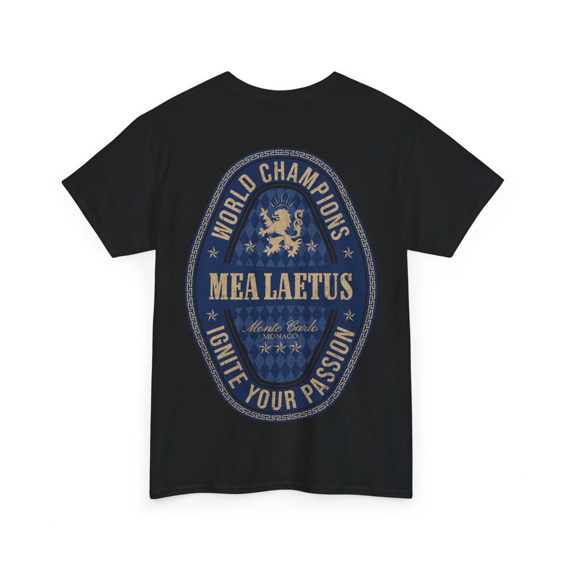 Black World_Champions_BLUE_Graphic_T-Shirt - back print 