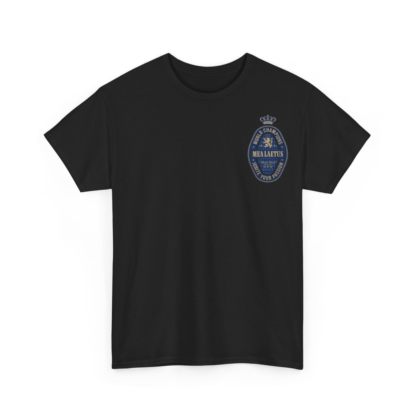 World_Champions_BLUE_Graphic_T-Shirt - front print